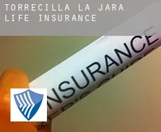 Torrecilla de la Jara  life insurance