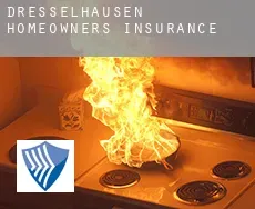 Dresselhausen  homeowners insurance