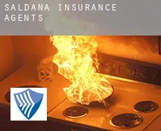 Saldaña  insurance agents