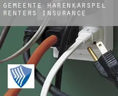 Gemeente Harenkarspel  renters insurance