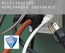 Hildisrieden  homeowners insurance