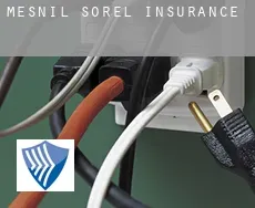 Mesnil-Sorel  insurance