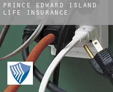 Prince Edward Island  life insurance