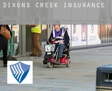 Dixons Creek  insurance
