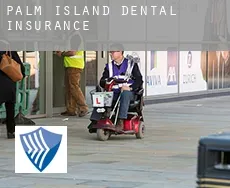 Palm Island  dental insurance