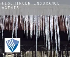 Fischingen  insurance agents