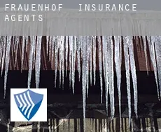 Frauenhof  insurance agents