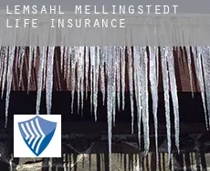 Lemsahl-Mellingstedt  life insurance