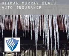 Ottman - Murray Beach  auto insurance