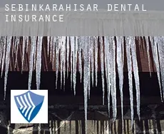 Şebinkarahisar  dental insurance