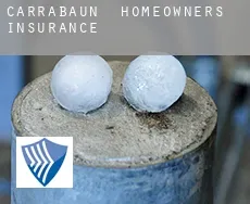 Carrabaun  homeowners insurance