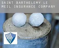 Saint-Barthélemy-le-Meil  insurance company
