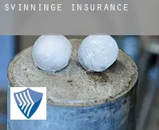 Svinninge  insurance