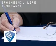 Grosmesnil  life insurance