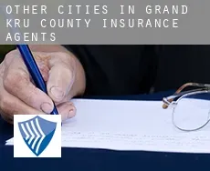 Other cities in Grand Kru County  insurance agents