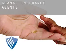 Guamal  insurance agents