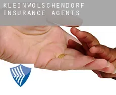 Kleinwolschendorf  insurance agents