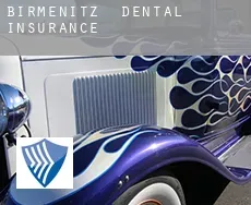 Birmenitz  dental insurance