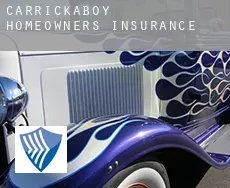 Carrickaboy  homeowners insurance