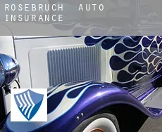 Rosebruch  auto insurance