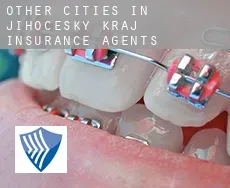 Other cities in Jihocesky kraj  insurance agents
