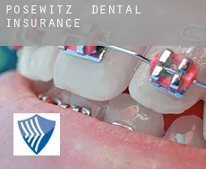 Posewitz  dental insurance