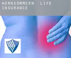 Hornsömmern  life insurance