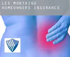 Les Montaigu  homeowners insurance