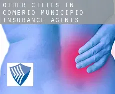Other cities in Comerio Municipio  insurance agents