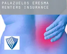 Palazuelos de Eresma  renters insurance