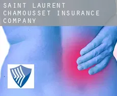 Saint-Laurent-de-Chamousset  insurance company
