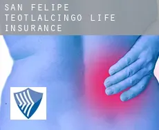 San Felipe Teotlalcingo  life insurance