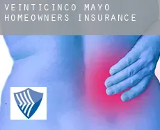 Veinticinco de Mayo  homeowners insurance