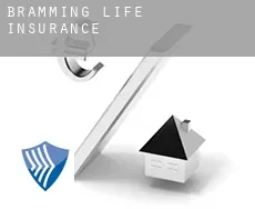 Bramming  life insurance