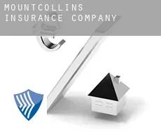 Mountcollins  insurance company