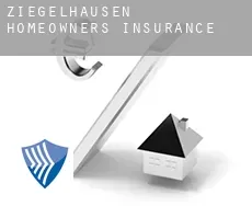 Ziegelhausen  homeowners insurance