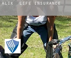 Alix  life insurance
