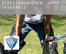 Schessinghausen  auto insurance