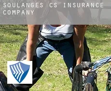Soulanges (census area)  insurance company
