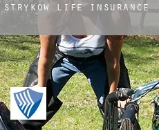 Stryków  life insurance