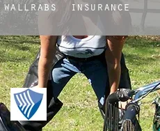 Wallrabs  insurance