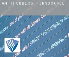 Am Thonberg  insurance