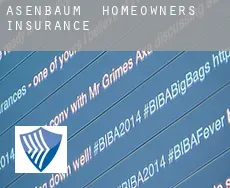 Asenbaum  homeowners insurance