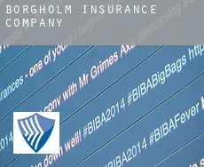 Borgholm Municipality insurance company