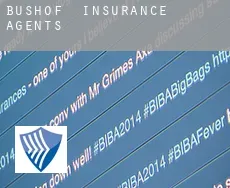 Bushof  insurance agents