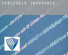Cabizuela insurance