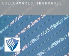 Cuelgamures  insurance