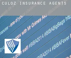 Culoz  insurance agents
