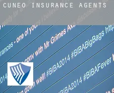 Provincia di Cuneo  insurance agents
