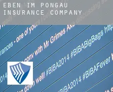 Eben im Pongau  insurance company